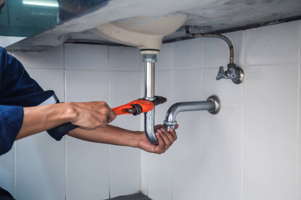 Best Plumbing Installation Services  in Mount Olive, NC
