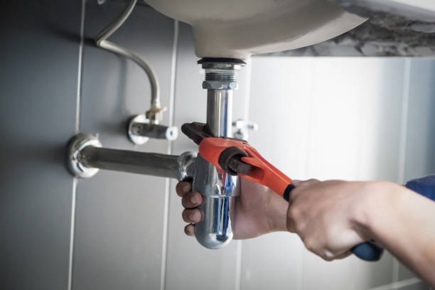 Best Local Plumber Services  in Mount Olive, NC
