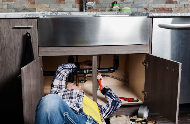 Best Residential Plumbing Services  in Mount Olive, NC