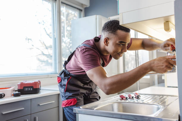 Best Local Plumber Services  in Mount Olive, NC